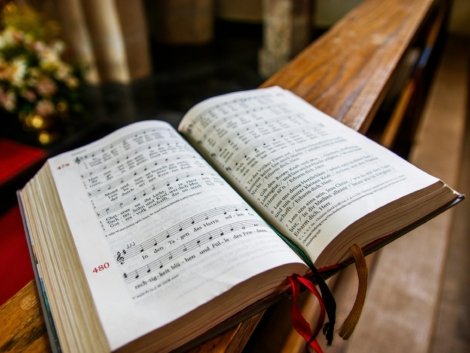 pexels-freek-wolsink-508219-33120490