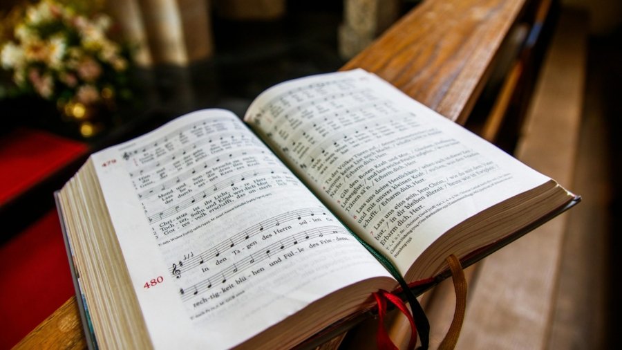 pexels-freek-wolsink-508219-33120490